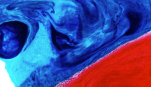 Video post. Self hosted video.